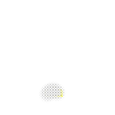 brl fortune